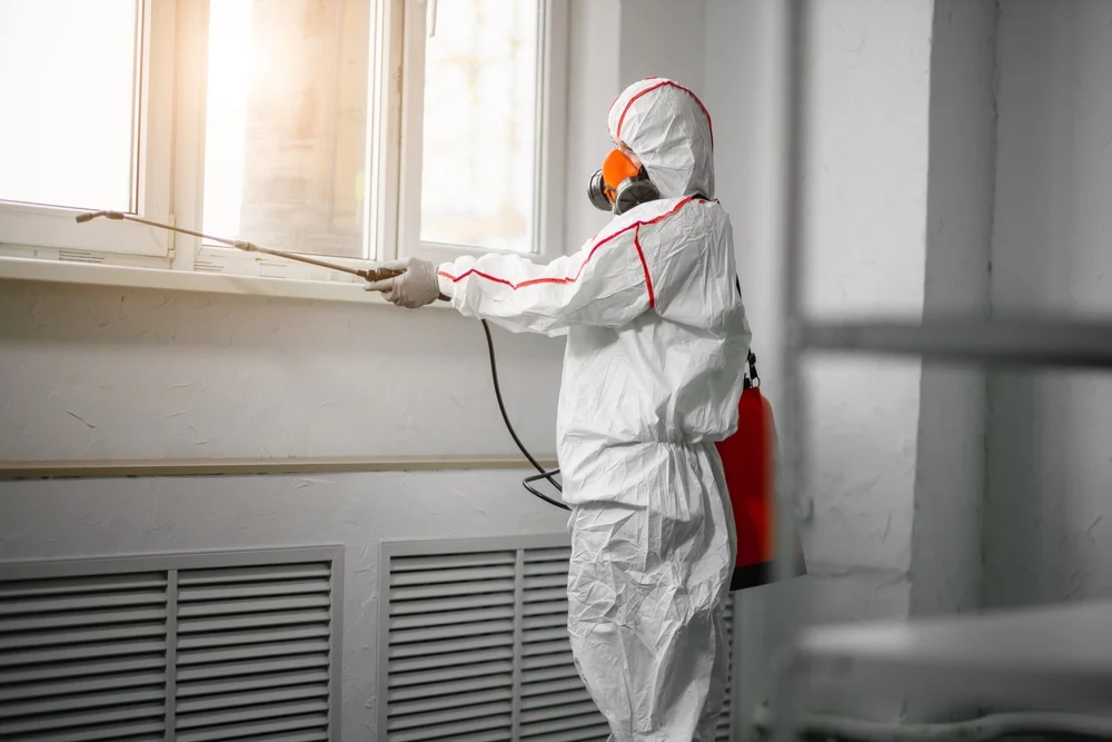 Professional mold remediation services in Logan, OH